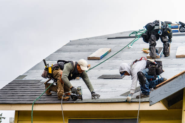 Professional Gutter Installation technician working in Trafalgar, IN